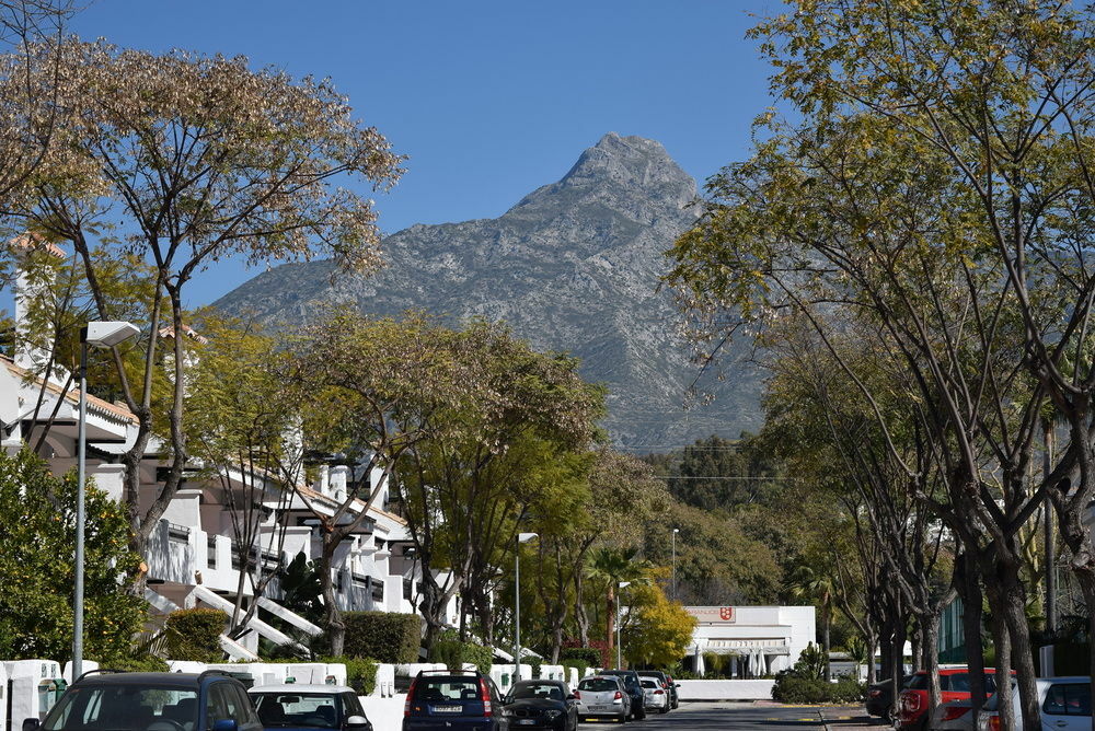 Apartamentos Y Casas Serinamar Marbella El Ángel エクステリア 写真