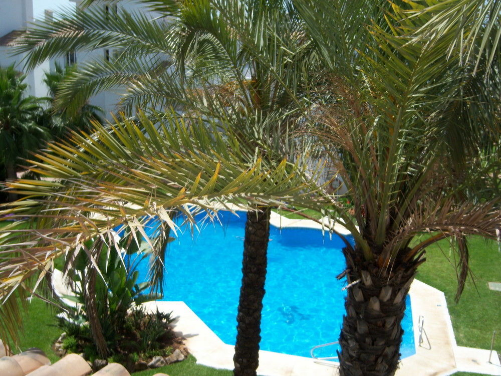 Apartamentos Y Casas Serinamar Marbella El Ángel エクステリア 写真